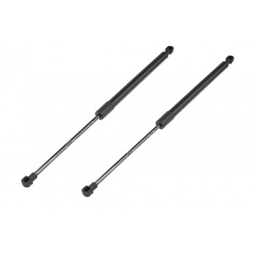 x2 Vérin Hayon de coffre...