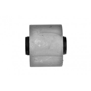Silent Bloc de Bras de Suspension Pour Nissan Maxima/Maxima QX IV 5513095F0A