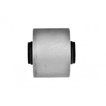 Silent Bloc de Bras de Suspension Pour Nissan Maxima/Maxima QX IV 551308F800