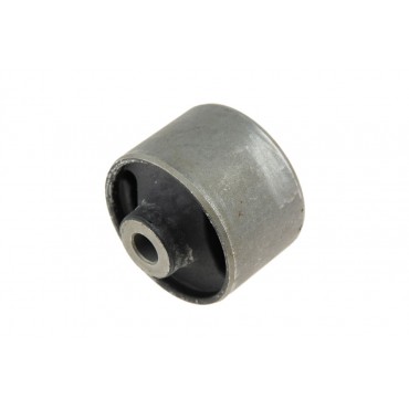 Silent Bloc de Bras de Suspension Pour Nissan Almera II Tino Bluebird 555014Z900