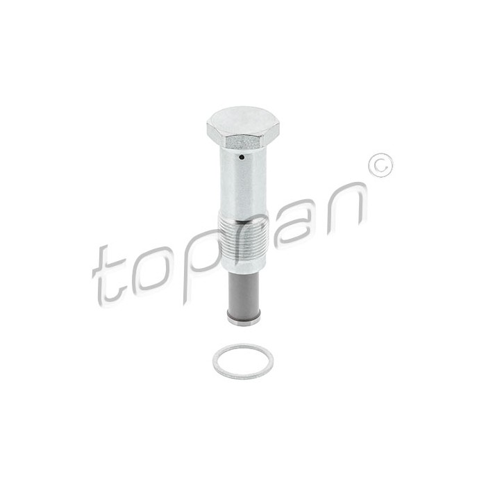 Tendeur Chaine de Distribution Pour BMW F33, F83 F36 5 E60 E61 F07 11311439851