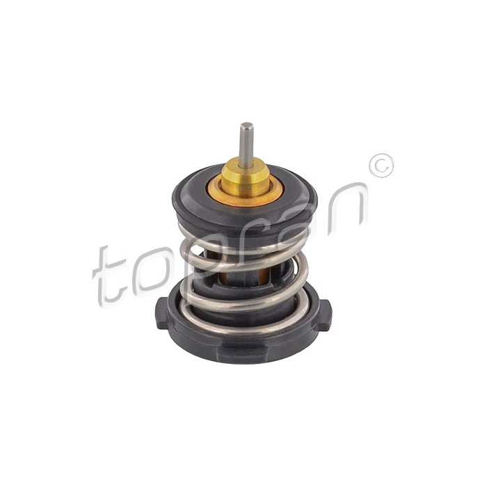 Thermostat d'Eau Pour VW Beetle Audi A1 A3 A4 A5 Q2 Q3 Seat Skoda 04E121113G