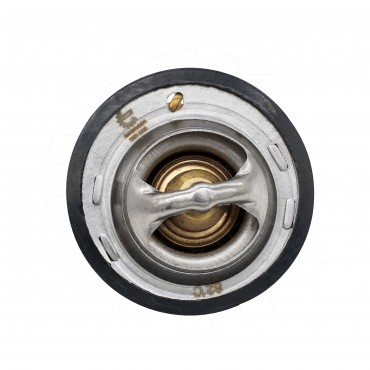 Thermostat d'Eau Pour Nissan Suzuki Chevrolet Daewoo Matiz 1767079011 1760060810