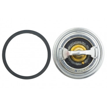 Thermostat d'Eau Pour Peugeot Fiat Ducato Citroën Iveco Daily I II III 133890