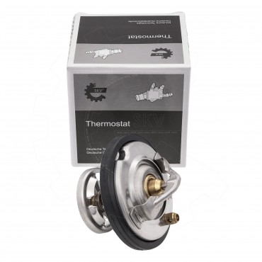 Thermostat d'Eau Pour Mercedes-Benz Daewoo Puch Ssangyong A0032039975 6062030275