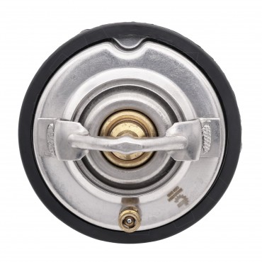 Thermostat d'Eau Pour Mercedes-Benz Daewoo Puch Ssangyong A0032039975 6062030275