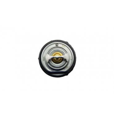 Thermostat d'Eau Pour Mercedes-Benz Daewoo Puch Ssangyong A6062030275 6012000015