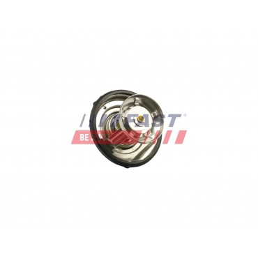 Thermostat d'Eau Pour Mercedes-Benz Daewoo Puch Ssangyong A6062030275 6012000015