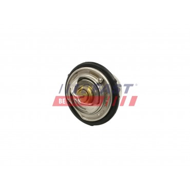 Thermostat d'Eau Pour Mercedes-Benz Daewoo Puch Ssangyong A6062030275 6012000015