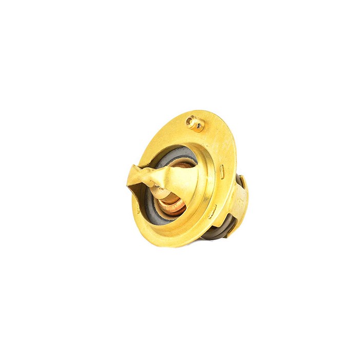 Thermostat d'Eau Pour Ford Mazda Volvo ERT226 1E0515171 30711624 1E0515171A