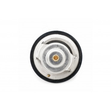 Thermostat d'Eau Pour Nissan Hyundai Kia Mitsubishi 2120096002 2550025001