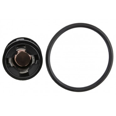 Thermostat d'Eau Pour VW FOX Lupo Polo Seat Cordoba Ibiza III