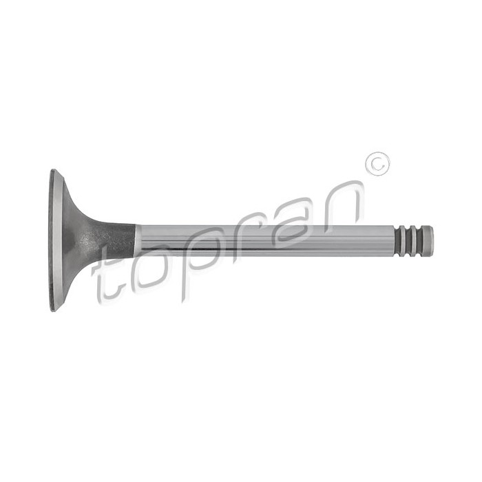 Soupape d'Admission Pour VW Caddy II Golf III Audi Seat Skoda 069109601F