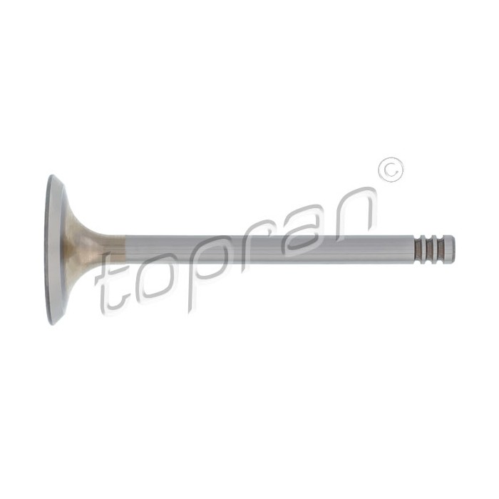 Soupape d'Admission Pour VW Seat Skoda 030109601AH 032109601AD 032109601E