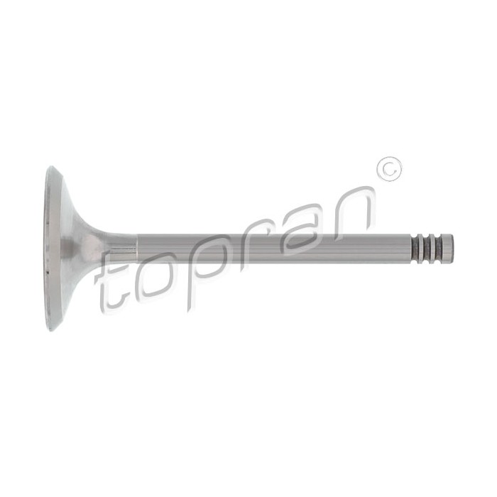 Soupape d'Admission Pour VW Caddy II Golf III GOL IV Passat Polo Vento Seat