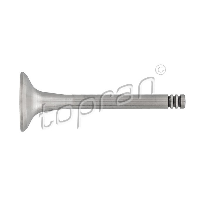 Soupape d'échappement Pour VW Audi 80 90 Seat 026109611A 034109611B 035109611J