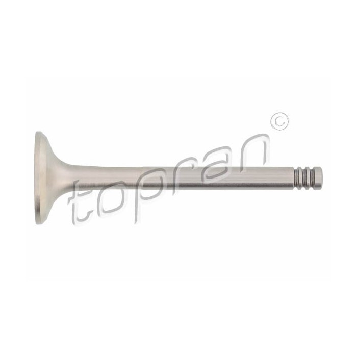 Soupape d'échappement Pour VW Audi Seat Volvo 046109611C 9186566 046109611F