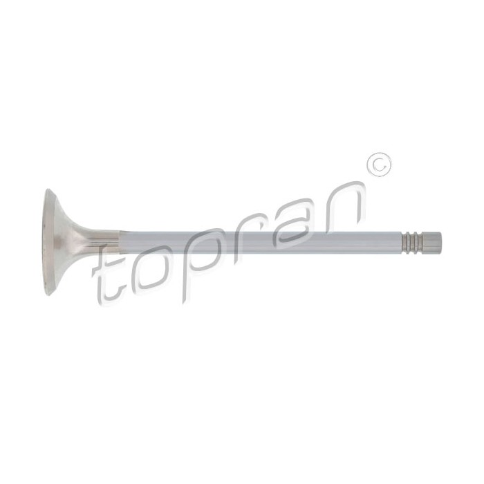 Soupape d'échappement Pour VW Audi Seat Skoda 06D109611H 06D109611K 06D109611L