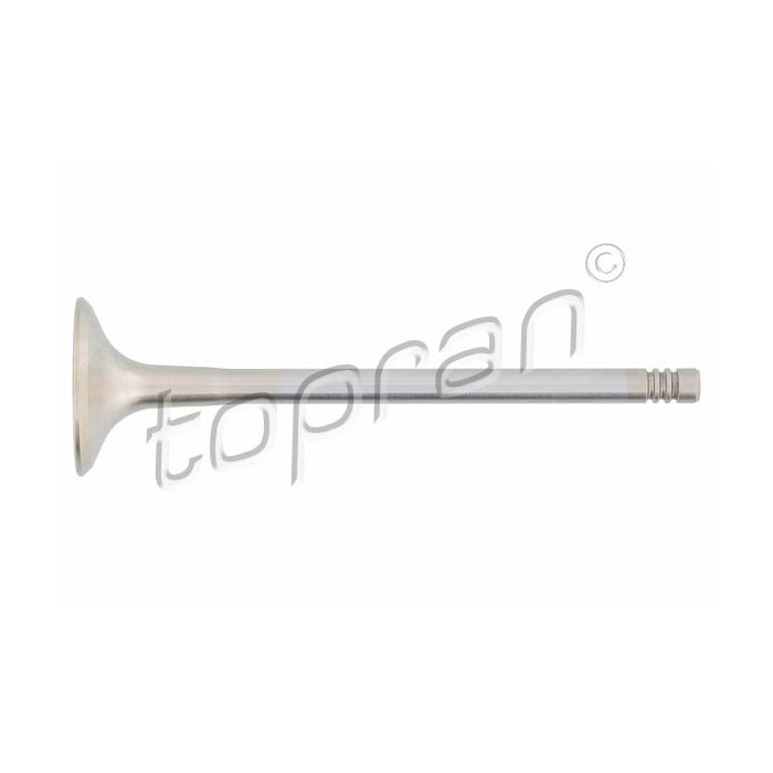 Soupape d'échappement Pour VW Audi Seat Leon Skoda 058109611G 058109611M