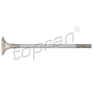 Soupape d'échappement Pour VW Beetle Caddy IV Golf Audi Seat Skoda 04E109611K