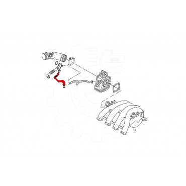 Tuyau d'évacuation Huile Carter Pour VW Passat Skoda Superb I 06B103217L