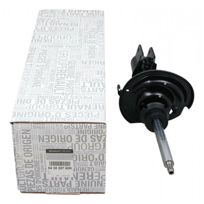 Amortisseur Avant Pour Renault Clio II III IV Modus