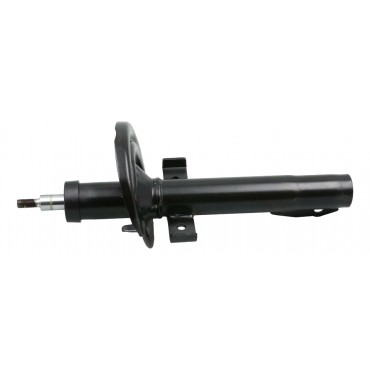 Amortisseur Avant Pour Renault Kangoo 8200041462, 8200324239, 8200675691