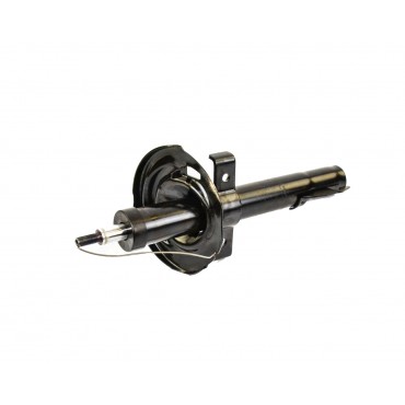 Amortisseur Avant Pour Renault Grand Scénic II