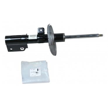 Amortisseur Avant Pour Citroën C4