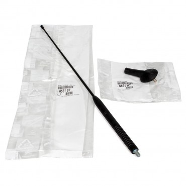 Antenne 42cm Pour Peugeot 206