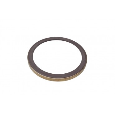 Bague ABS Arrière Pour Renault Mascott