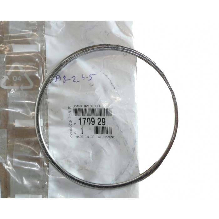 Bague Collecteur d'échappement Pour Peugeot 206 207 307 1007 Partner Citroën