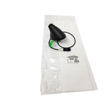 Base d'Antenne Pour Citroën C4