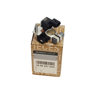 Cosse de Batterie Négative Pour Renault Captur Clio IV Trafic III Twingo ZOE