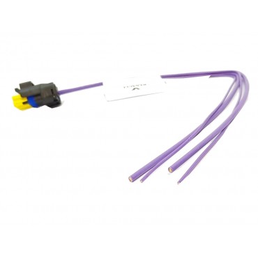 Prise pour Platine de Feu Arriere Pour Renault Laguna III Master Megane II