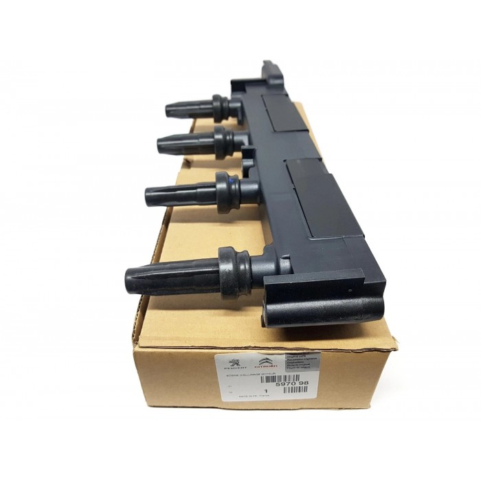 Bobine d'Allumage Pour Peugeot 206 307 406 607 806 807 Citroën C4 C5 C8 Evasion