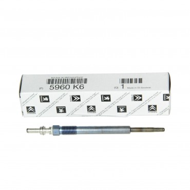 Bougie de Préchauffage Pour Opel Fiat Citroën Berlingo DS 5960E6, 5960K6