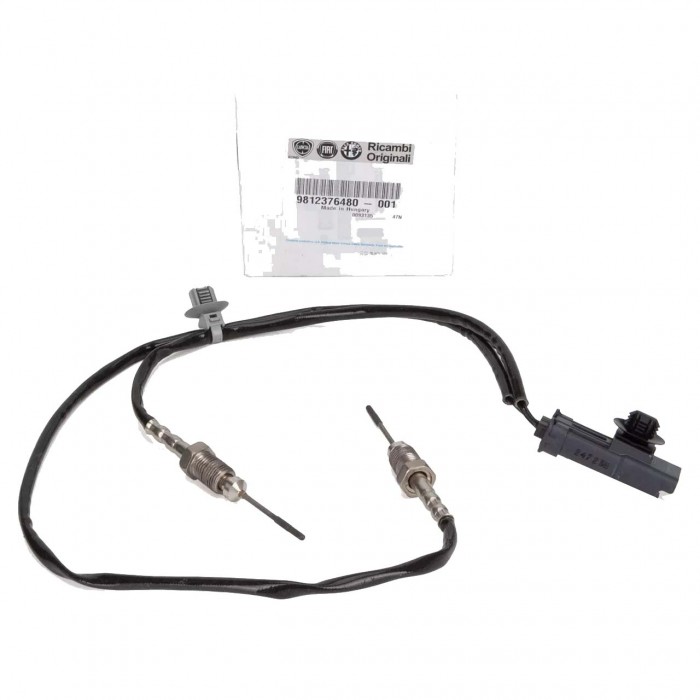 Capteur Température des Gaz Pour Peugeot Opel Citroën DS 9812376480