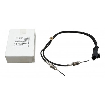 Capteur Température des Gaz Pour Peugeot 308 II Expert Citroën C4 C5 Jumpy