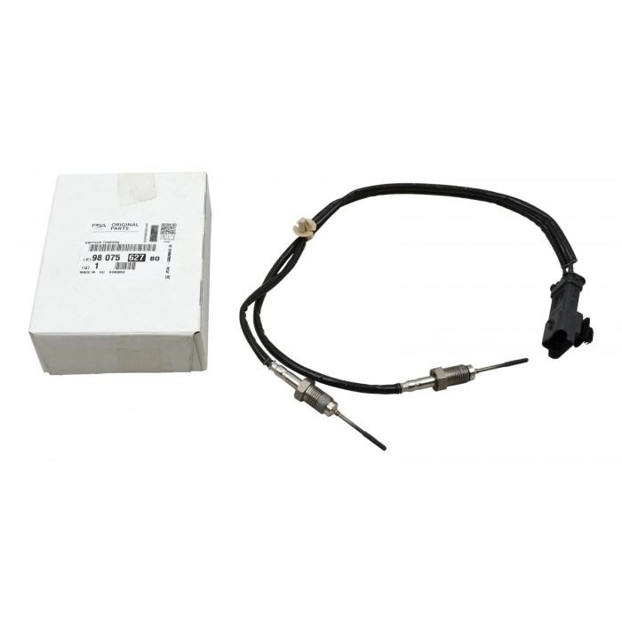 Capteur Température des Gaz Pour Peugeot 308 II Expert Citroën C4 C5 Jumpy