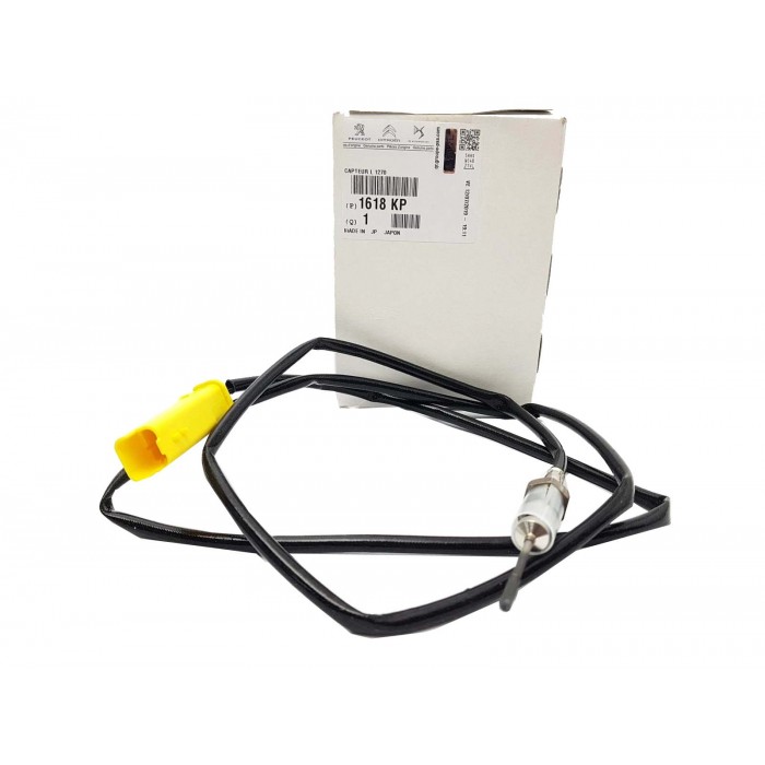 Capteur Température des Gaz Pour Peugeot 308 407 508 3008 5008 RCZ Citroën C5