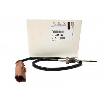 Capteur Température des Gaz Pour Peugeot Expert Partner Citroën C2 C3 C4 C5 C6