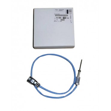 Capteur Température des Gaz Pour Peugeot Boxer Citroën Jumper