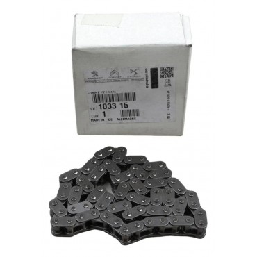 Chaine de Pompe à Huile Pour Peugeot Fiat Ford Mondeo III Ranger Citroën