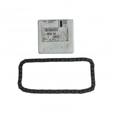 Chaine de Pompe à Huile Pour Peugeot Citroën DS 103319, 103306 103306, 103319