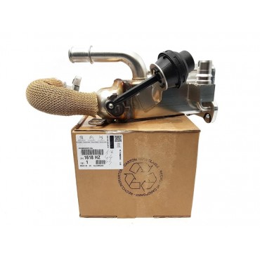 Radiateur de Vanne EGR Pour Peugeot 4007