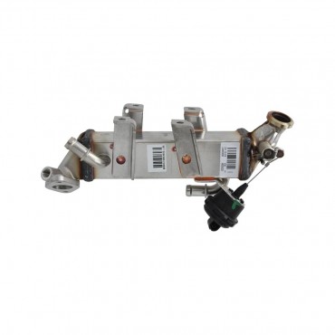 Radiateur de Vanne EGR Pour Renault Master III