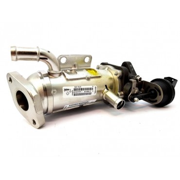 Radiateur de Vanne EGR Pour Renault Espace IV Opel Nissan Vauxhall