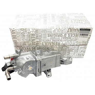 Radiateur de Vanne EGR Pour Renault 147353981R, 147351186R, 147350236R