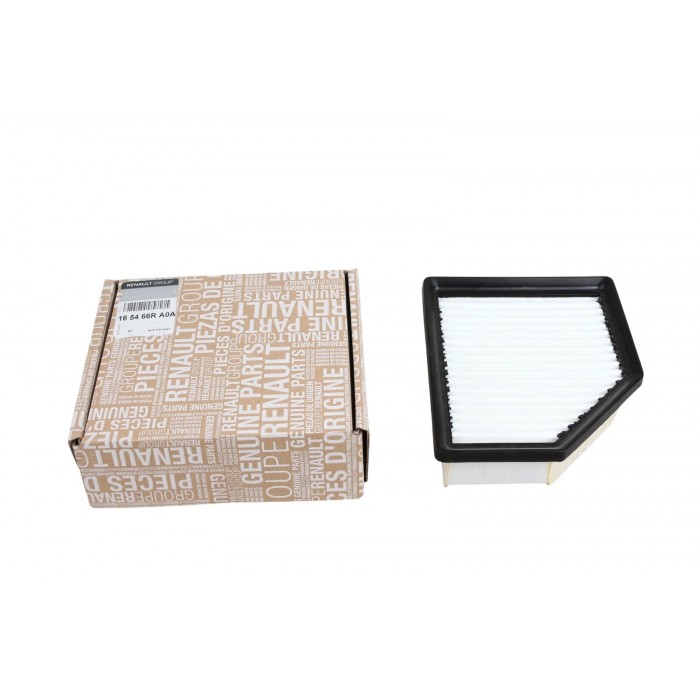 Filtre à air Pour Renault Nissan Mitsubishi 165466RA0A 165466RA0A, 165466RC1A